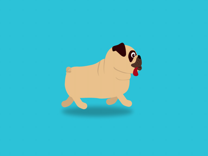 Pug animation character dog pug walk