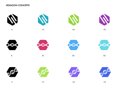 Hexagon Concepts branding hexagon identity logo