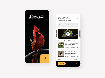 Birds Life App Design Concept 10ddc adobe photoshop app design birds life daily ui designinpiration dribble minimalist ui design uiux user interface design