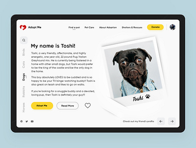 Pet Adopt Website Concept app design daily ui designinpiration dog doglover dribble pet petlover ui design uiux user interface design