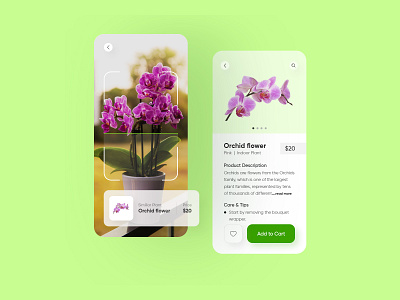 Augmented Reality Plant app Design Concept adobe photoshop app design daily ui design designinpiration dribble minimalist ui ui design user interface design