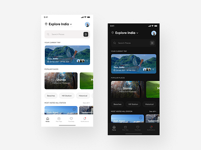 Travel App design Concept( Light and Dark theme )