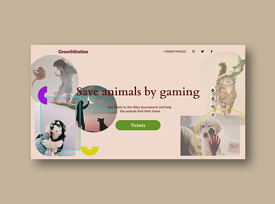 Landing Page animal app beauty cat challenge dailyui design dog homeless inspiration nature savetheworld trends trendy ui ux vector web