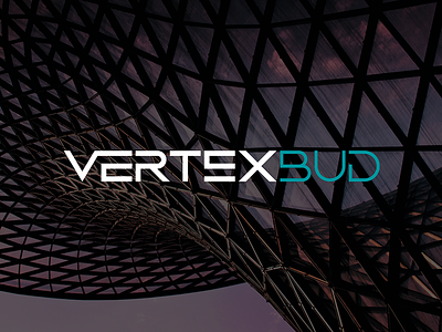Vertexbud Logo bilding brand brandbook bud logo site style ui ux vertex web