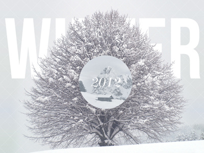 Winter 2012 desktop background tree type winter