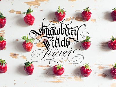 Strawberry Fields brand calligraphy hand hand lettering handlettered illustration illustrator lettering monochrome