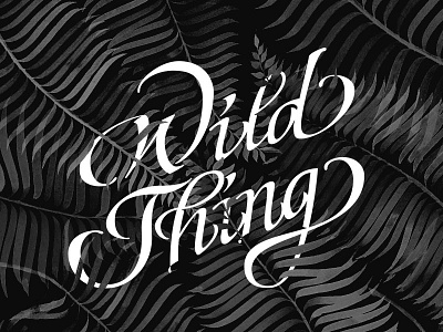 Wild Thing botanical calligraphy fern hand lettering illustration italic hand lettering monochrome plant script typography wild