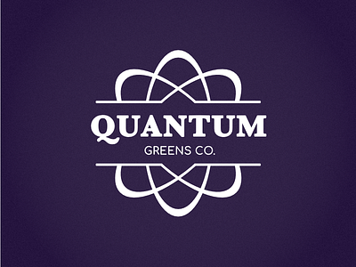 Quantum Logo branding design identity logo vector wordmark