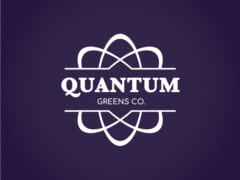 Quantum Logo wordmark identity branding vector design logo