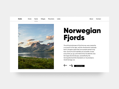 Norwegian Fjords design fjord fjords hero minimal minimalism nature norway typography ui ui design ux webdesign