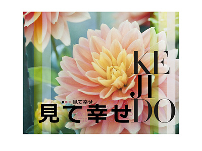 Flowers brand branding design logo minimal type typography website
