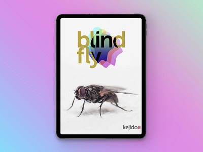 blind fly brand clean concept design logo minimal type typography