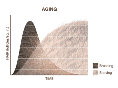 Aging Infographic aging brush chart hair infographic shave