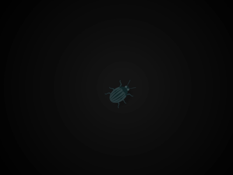 Midnight Bug animal animated gif beetle black bug dark insect midnight moody motion shadow