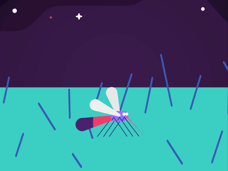 Mozzy bite blood arm wings flat vector after effects animation fly hair bite bug mosquito mozzy insect