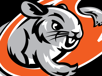 Chinchilla cartoon chinchilla logo logo design logos mascot mouse rabbit sports
