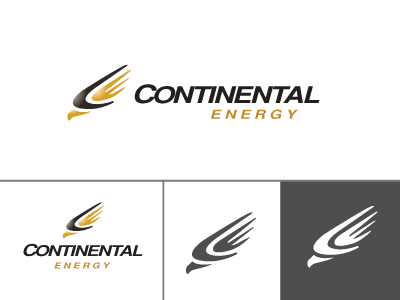 Continental Energy bird falcon hawk logo logo design logos wing