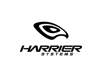 Harrier Systems eagle harrier hawk logo logo design logos