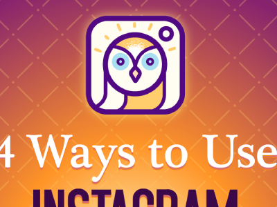 Instagram Insights bird camera instagram owl