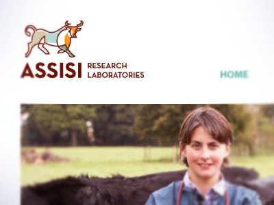 Assisi Research Lab animal bull logo logo design logos