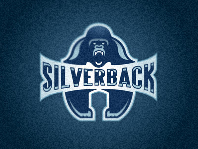 Silverback5