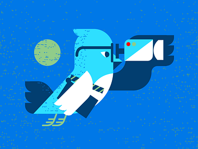 Twitter Video ads advertising bird birds film geometric illustration modern social media socialmedia twitter video