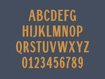 Highlight Gothic branding type typeface typography
