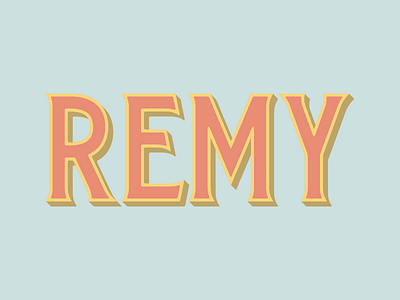 Remy font french lettering letters remy serif serifs type type design typography vintage