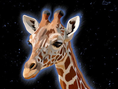 Giraffe Illustration Oz Galeano