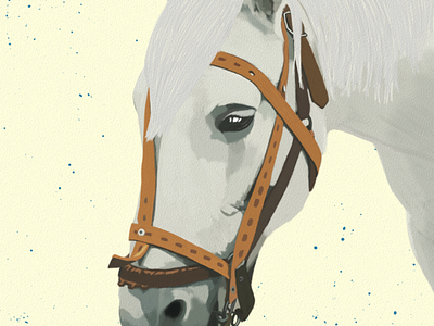 Horse Illustration by Oz Galeano