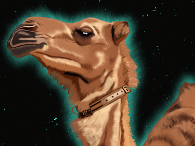 Camel illustration by Oz Galeano animal art arte arte-ozgaleano boceto camel camello design dibujo digitalart drawing illustration logo mexico ozgaleano sketch