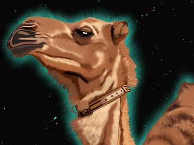 Camel illustration by Oz Galeano animal art arte arte ozgaleano boceto camel camello design dibujo digitalart drawing illustration logo mexico ozgaleano sketch