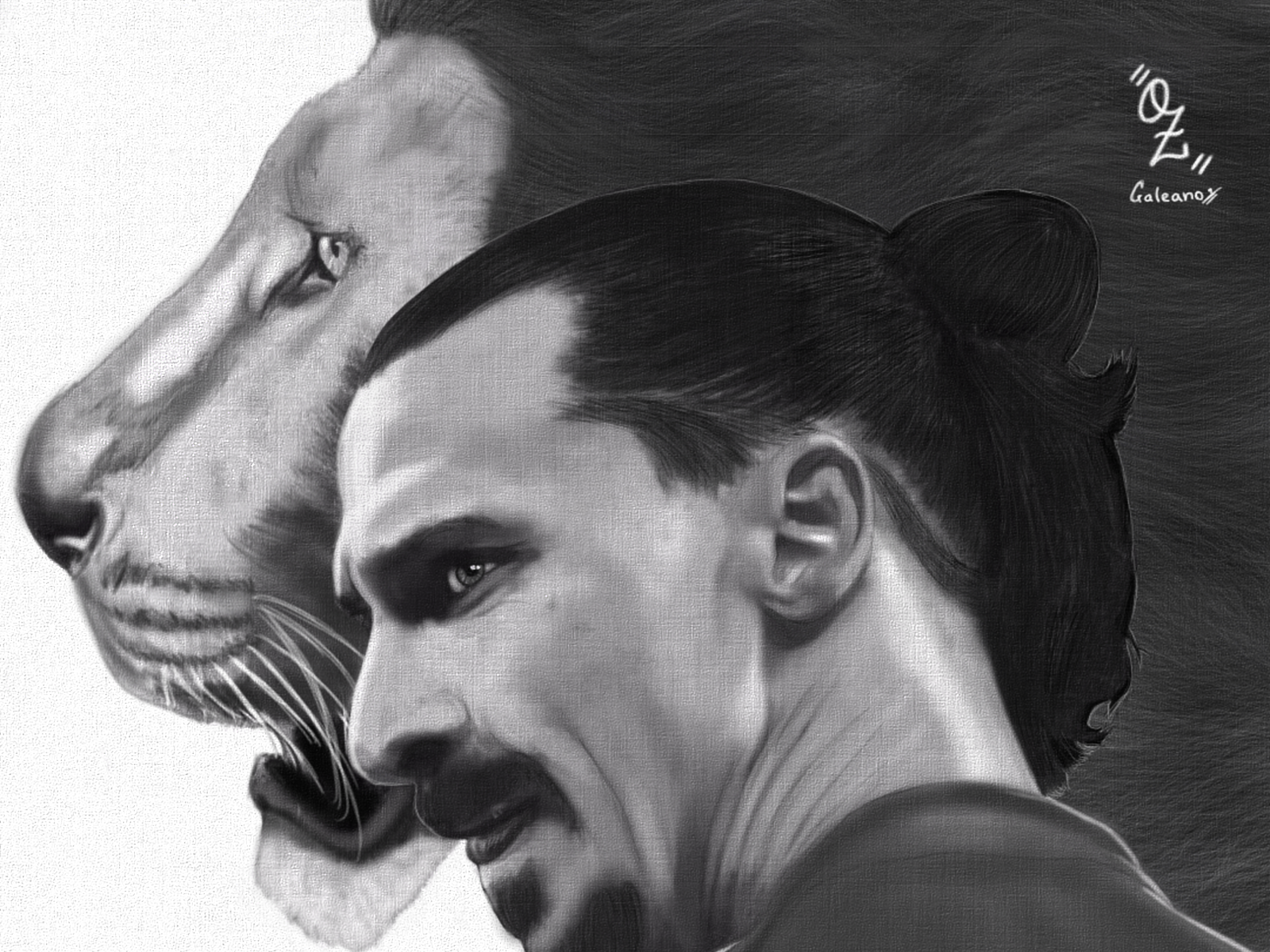 Zlatan Ibrahimović coloring book enjoys goal to print and online