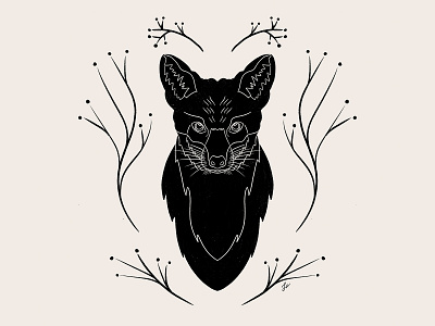 Mr. Fox animal animals black and white forest fox fox illustration foxes foxy illustration illustration art nature procreate symmetrical symmetry