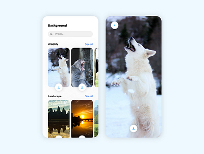 DailyUI 059 Background 059 59 application background backgrounds daily 100 challenge daily ui dailyui design mobile photo ui