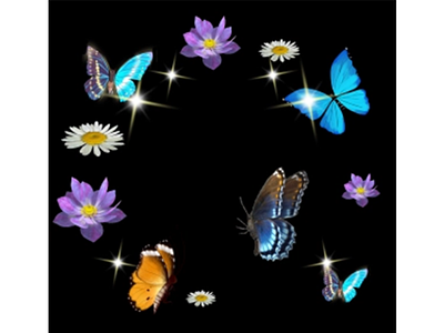 butterflies frame (moon chat app) @animation @butterfly @frame @gif @gift @motion graphics @svga @voice chat app