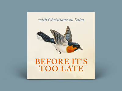 Before It's Too Late bird branding flying podcast podcast artwork podcast cover vintage