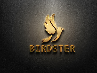 Birdster branding graphic design logo brand manitgraphics