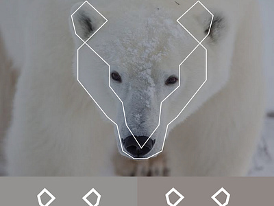 Polar bear logo