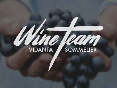 Wine Team 3 alcohol black drink logo red wine sommelier vidanta wine