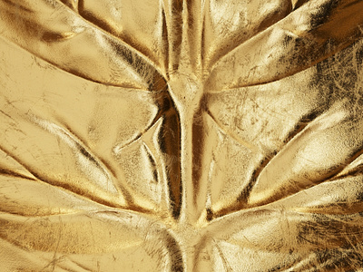 The Golden Leaf! 3dsmax corona corona renderer coronarender texture texturing v ray vray