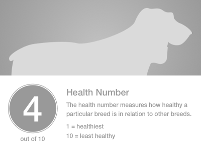 Petplan ux 01
