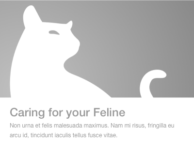 Kitty: Wireframe Component graybox silhouette ux wireframe