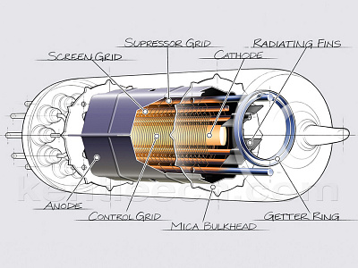 Vacuum tube cutaway