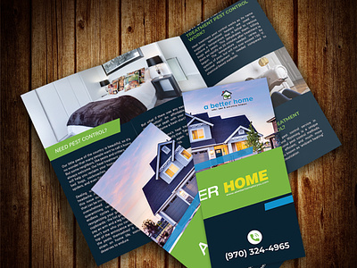 Real Estate Trifold Brochure brochure design illustration profesional realestate trifold trifold brochure
