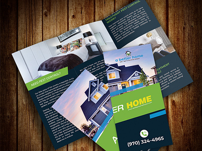 Real Estate Trifold Brochure