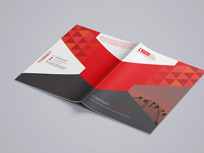 Company Profile Design bifold brochure booklet design brochure design corporate illustration