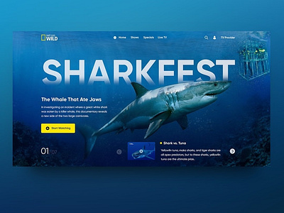 Concept for website "NAT GEO WILD" landingpage national geographic nature sharkweek ui ux uxui webdesign