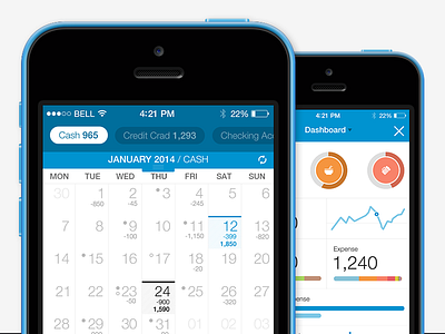 Dollarbird Pro app calendar clean data finance ios7 iphone manage money