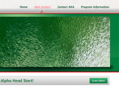 Aka Website demo web design website